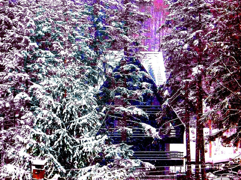 Wintertime