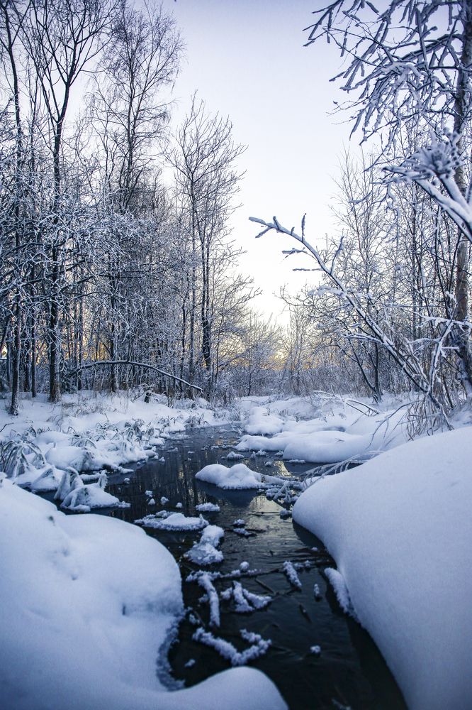 Photograph by Антон Гаврилов