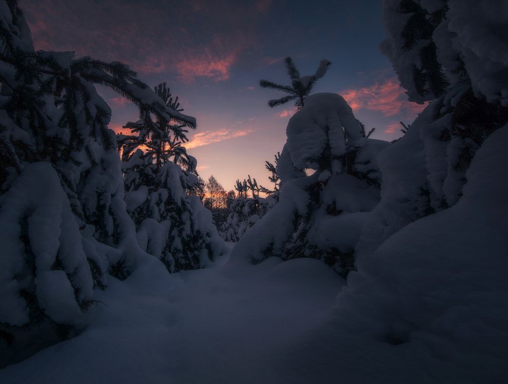 В предвкушении рассвета.