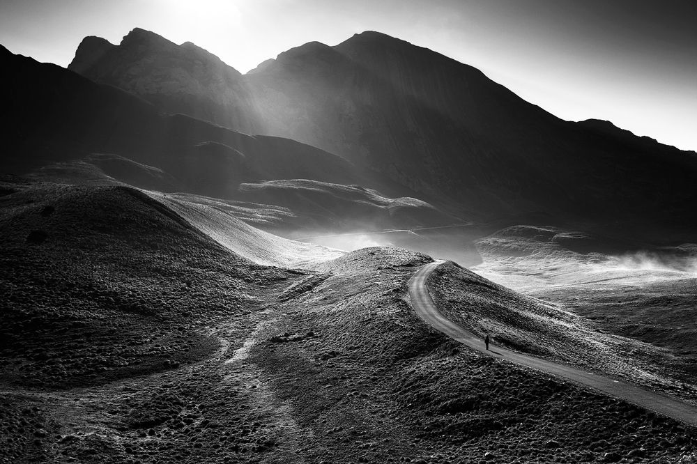 Let my heart want only you...