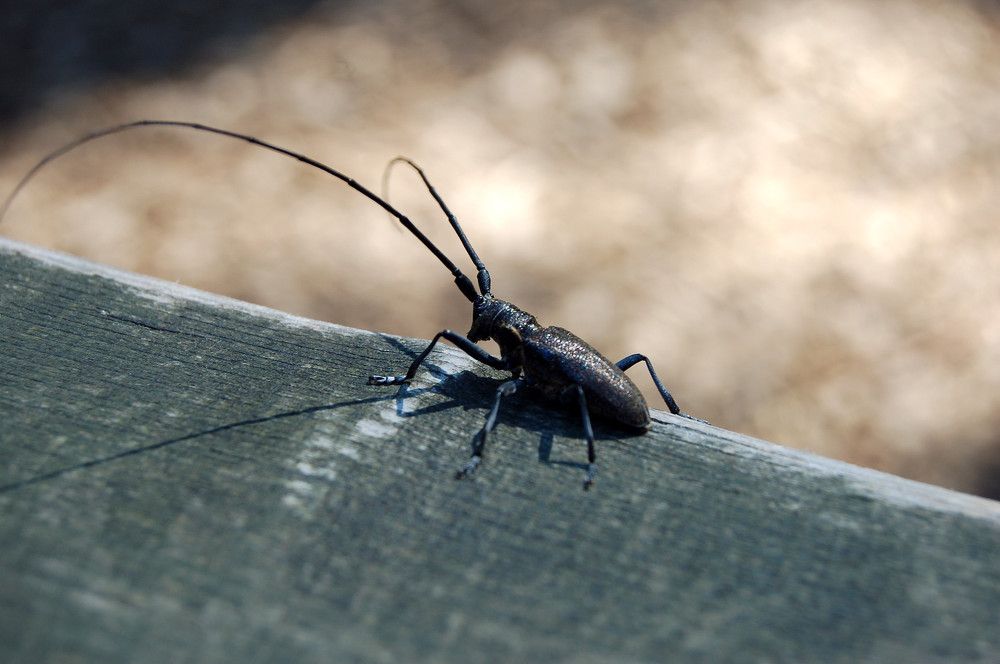 Photograph by Карина Хаустова