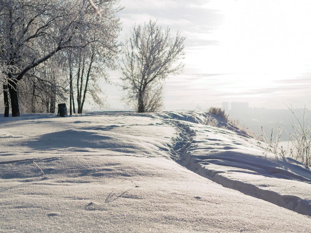 По тропинке