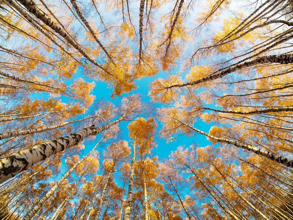 Бесконечность