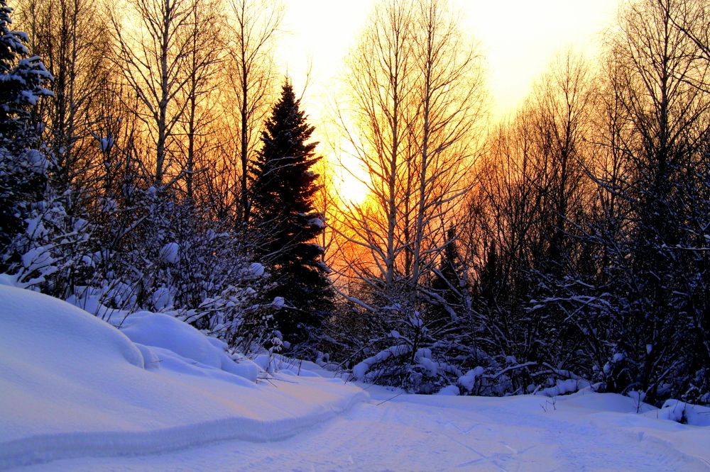 Добрый вечер