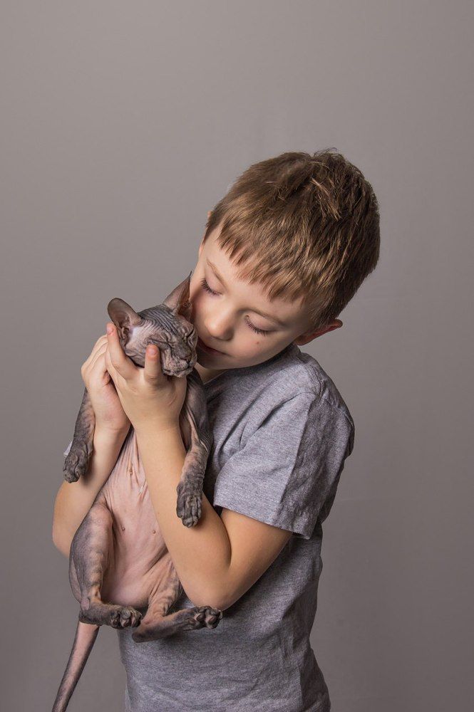 Искренность