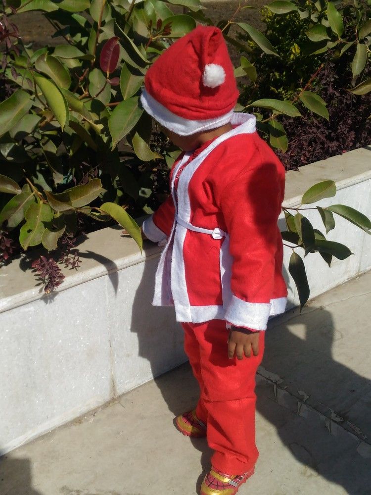 Christmas day in garden