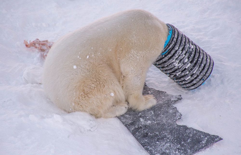 Ау там есть кто-нибудь!