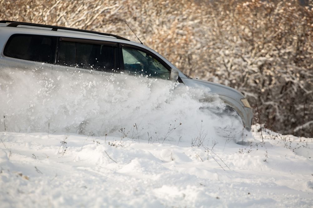 Photograph by Татьяна