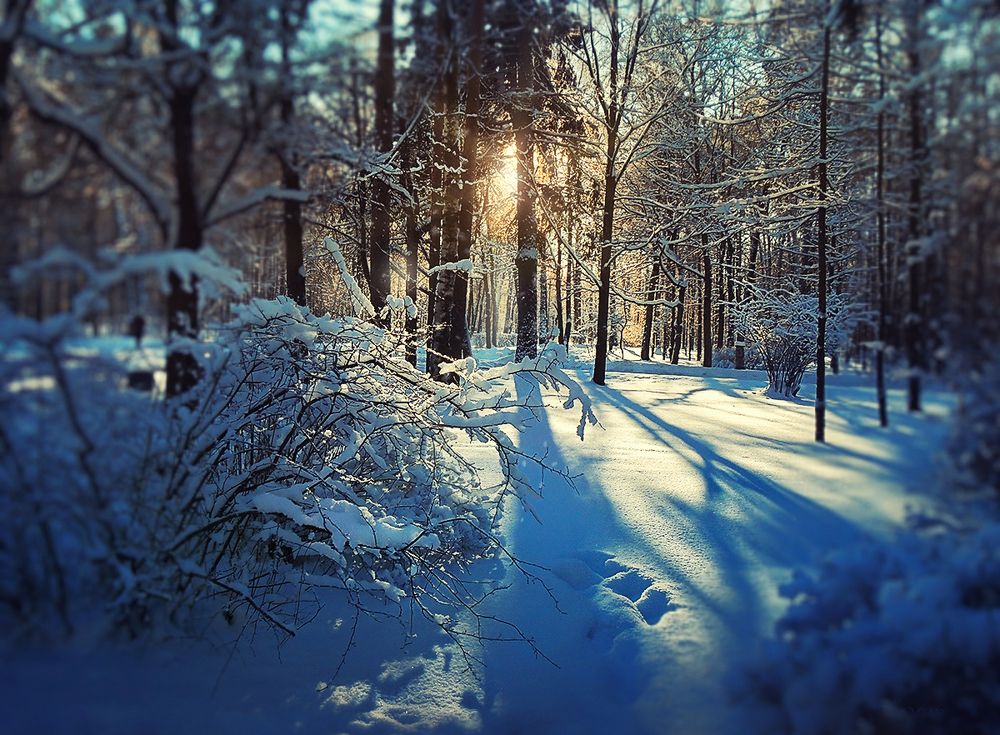 Зимняя сказка