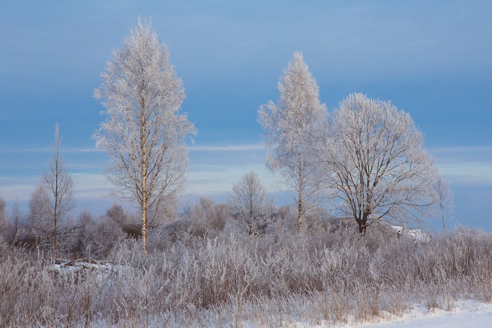 Photograph by Сергей Фомченков