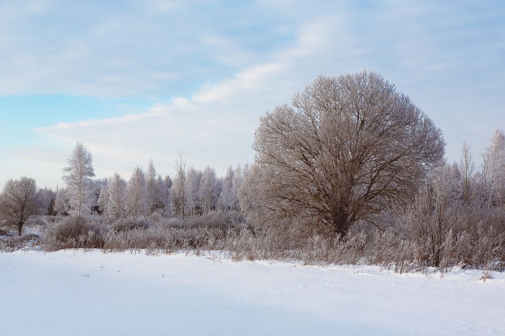 Photograph by Сергей Фомченков