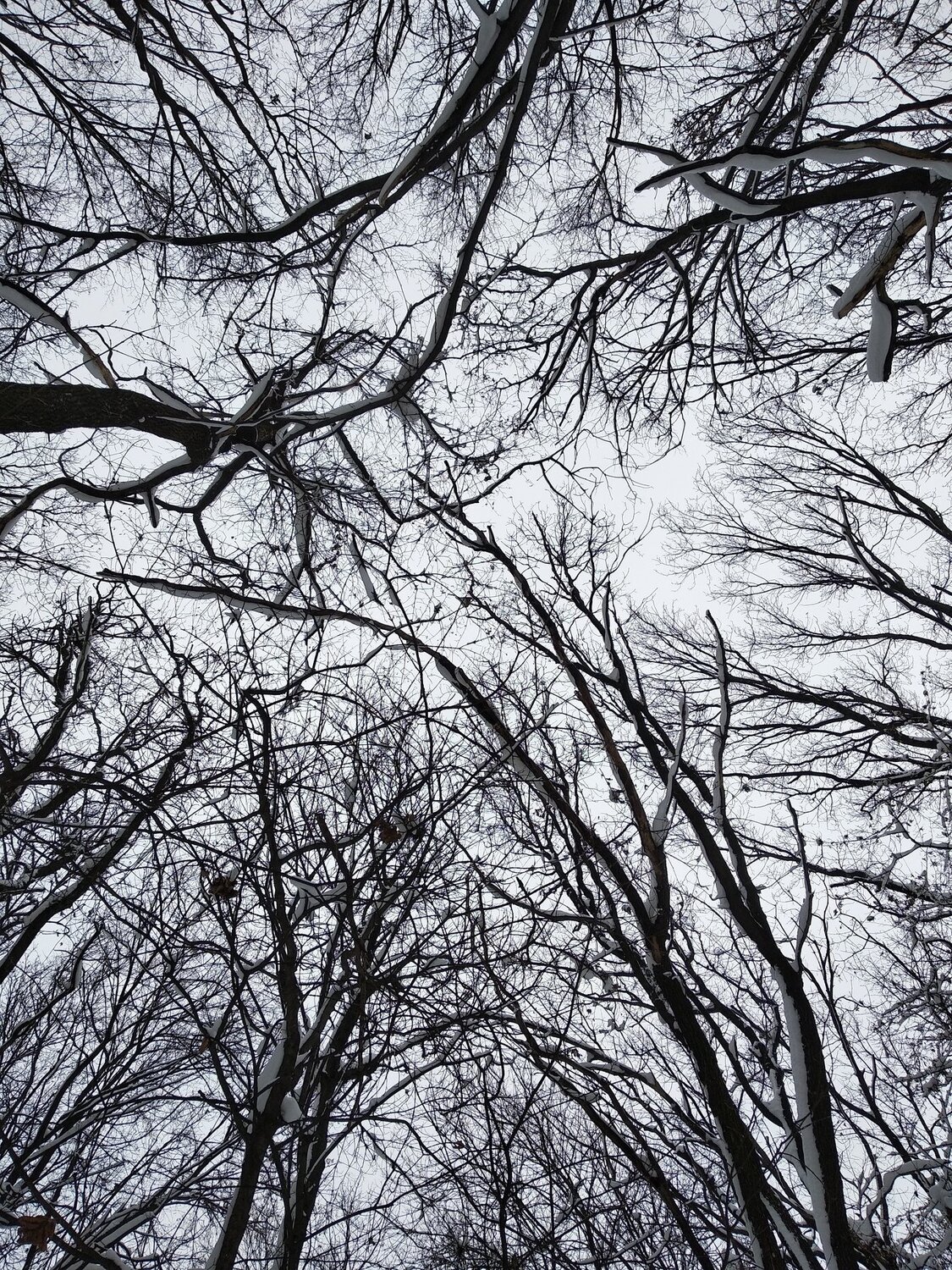 Руки