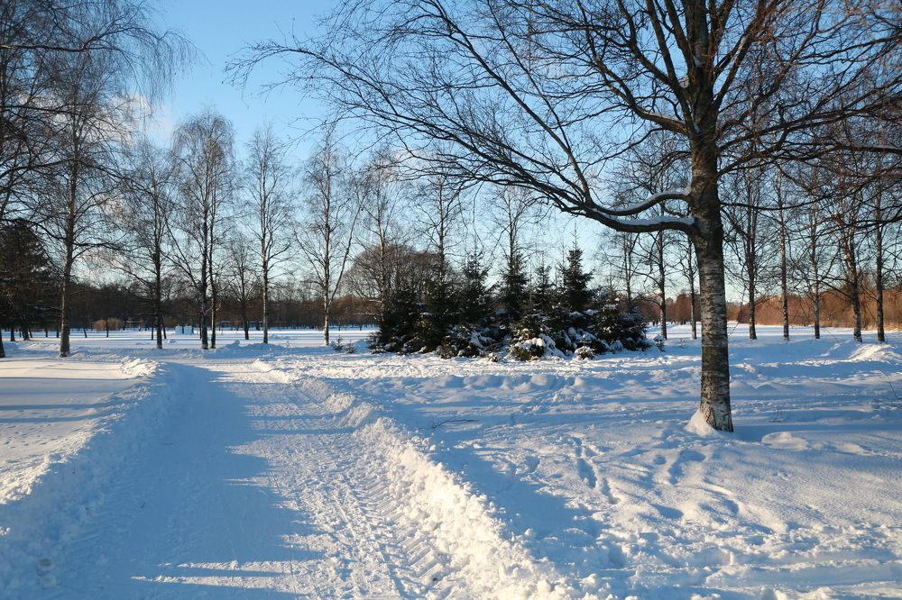 Зимние дорожки