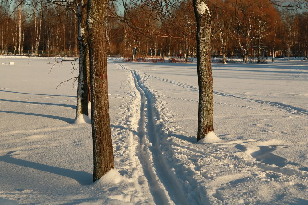 Лыжня