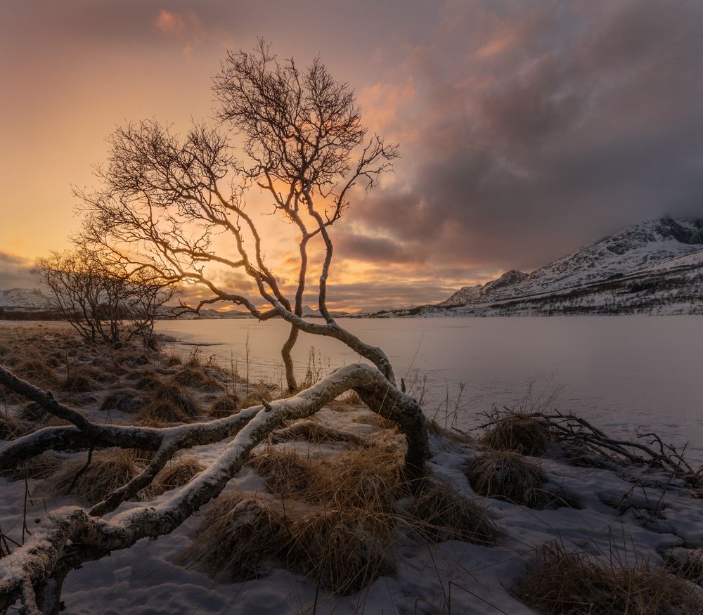 Закат на Лофотенах