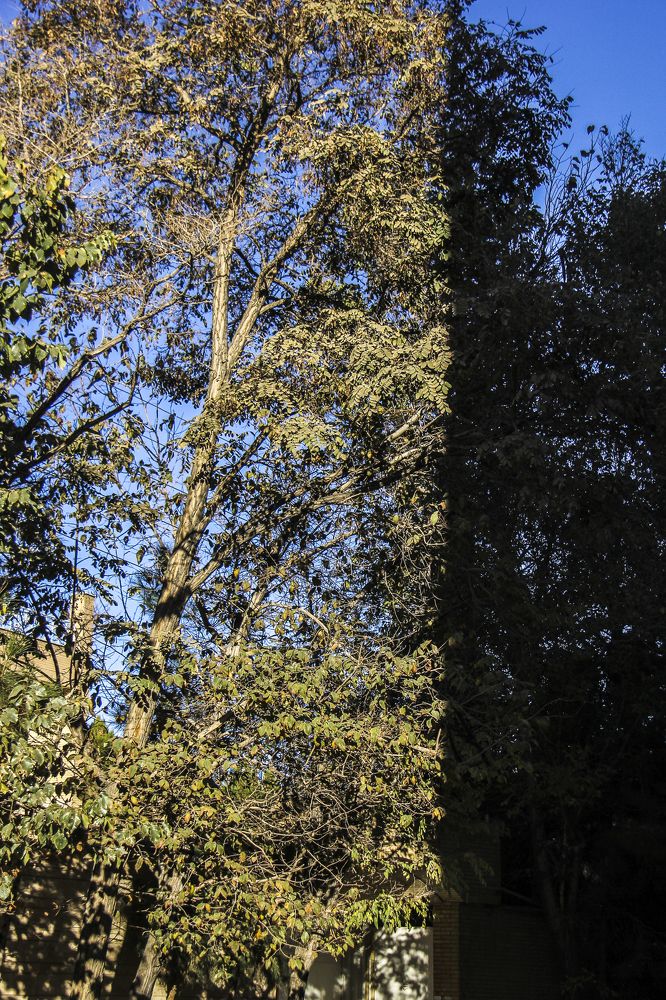 Photograph by Mohammad Mostafa Yazdanpanah