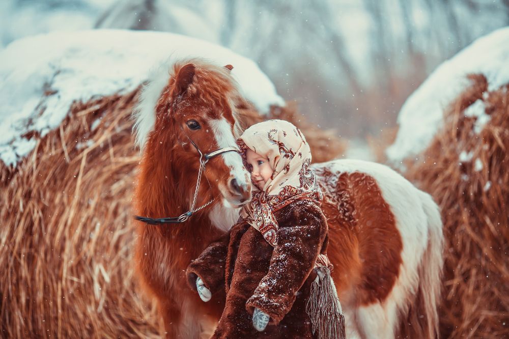 Любовь к лошадям