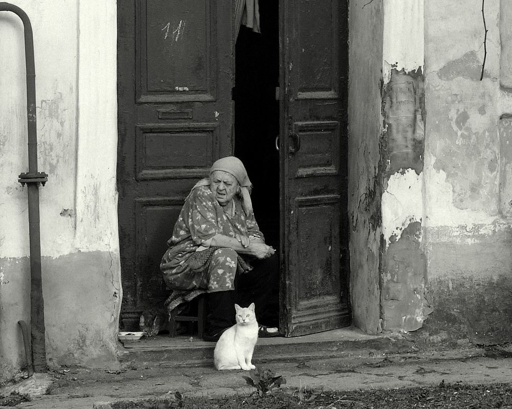 Человек и кошка