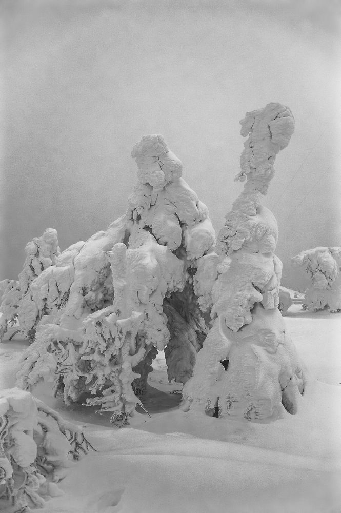 "Ваше Величество"