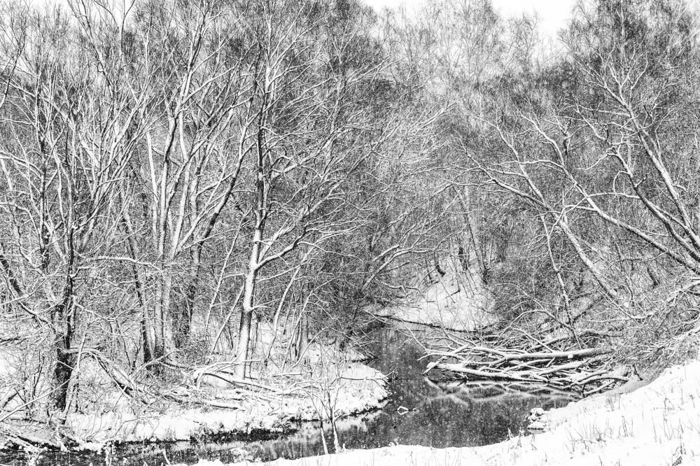 Photograph by Барабанов Алексей