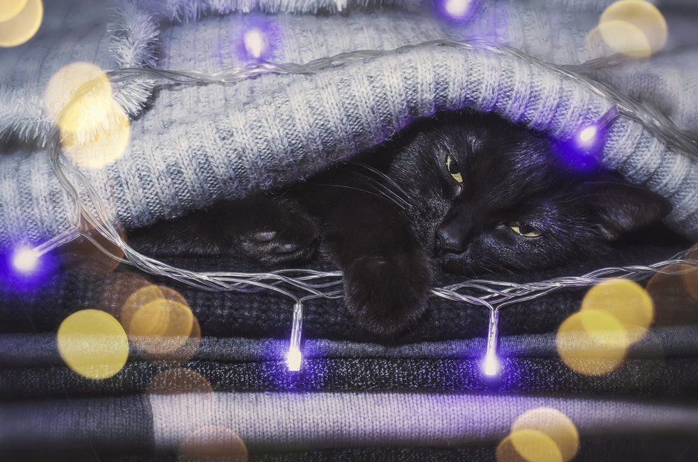 В ожидании чуда