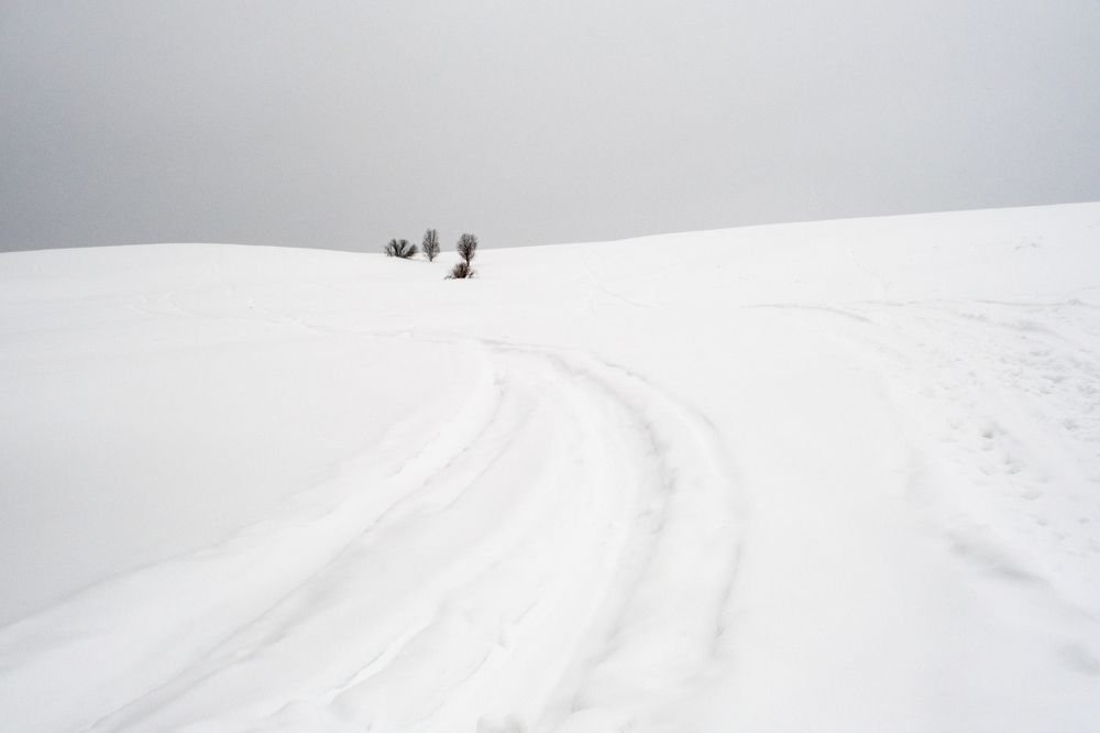 Дорога в поле