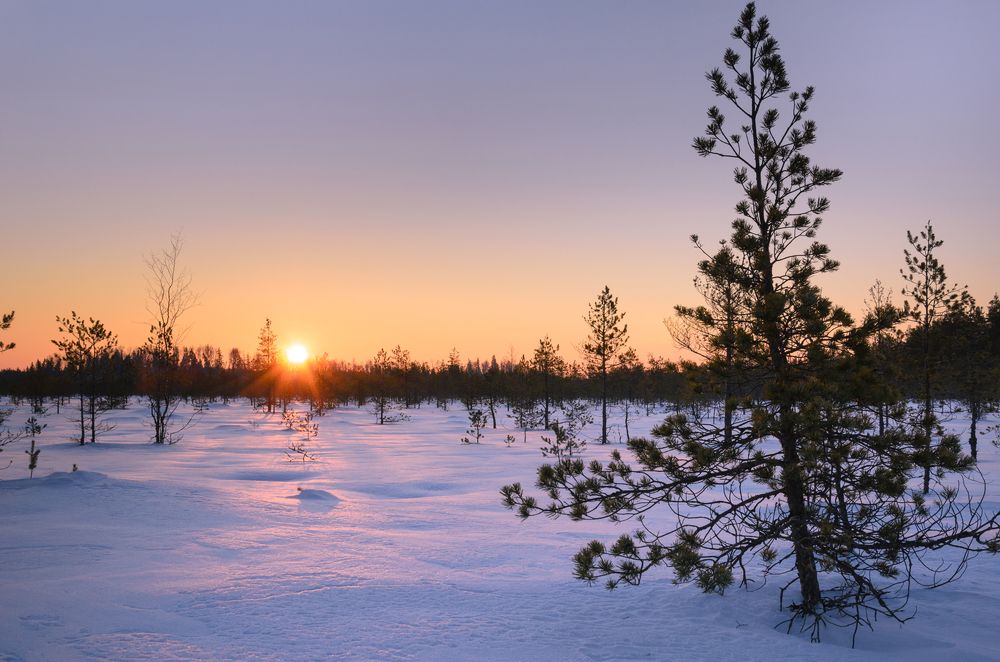 Зимний рассвет