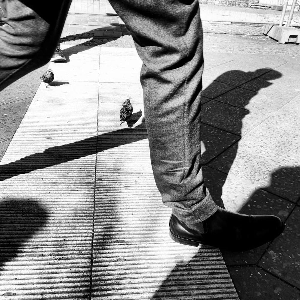 Человек-птица