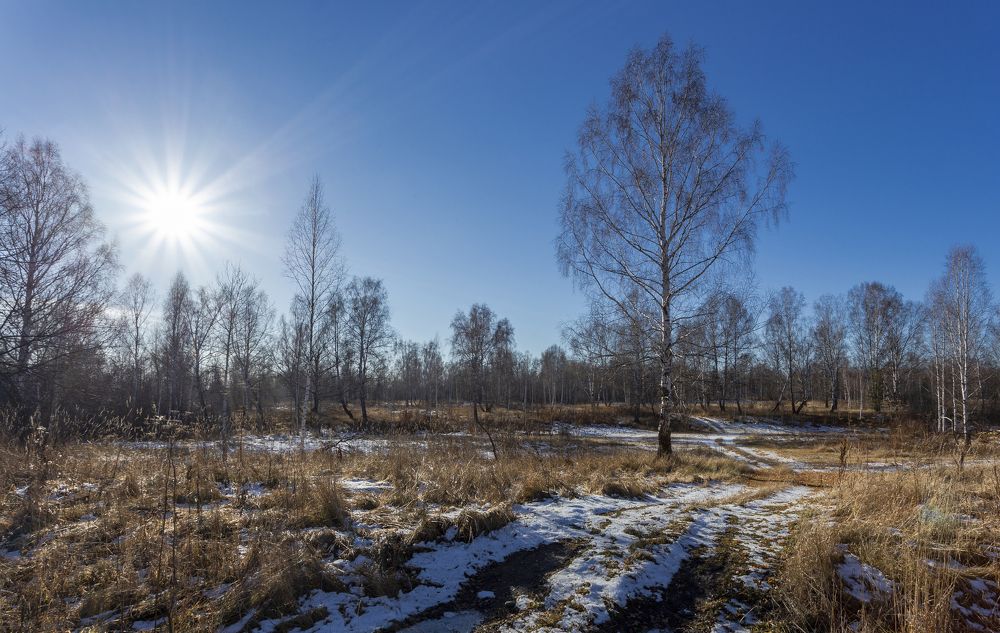 Березка в нережимное время