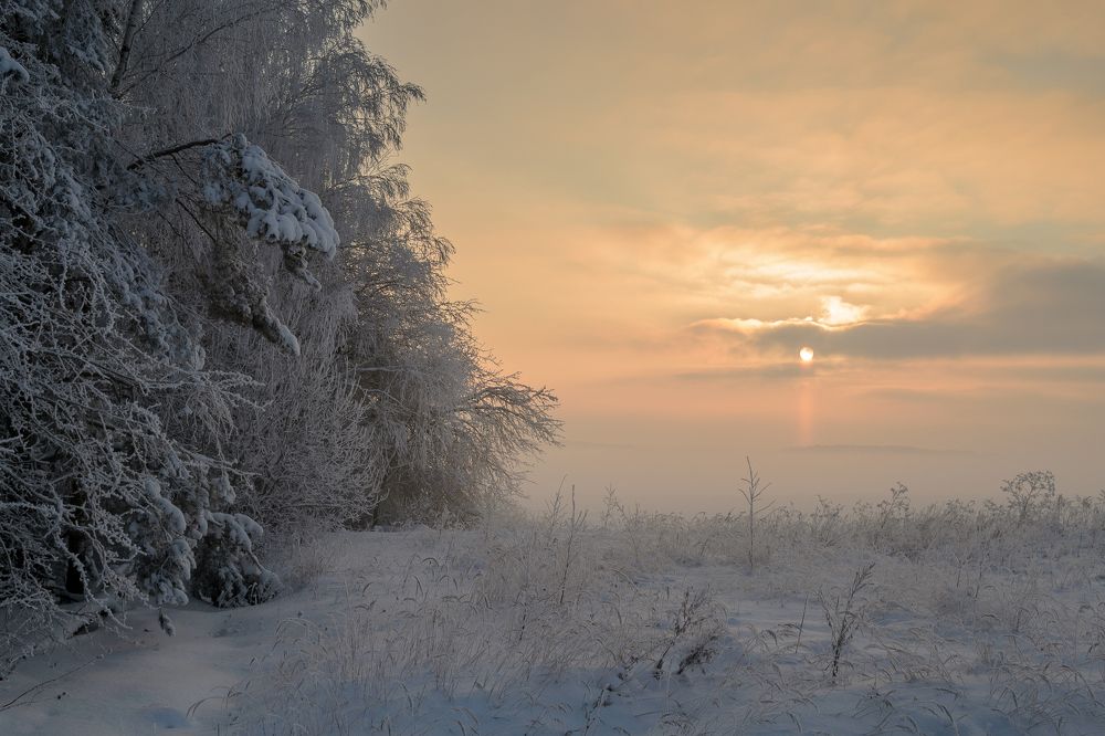 Снежный туман