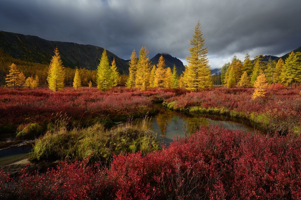 Загорелась осень...
