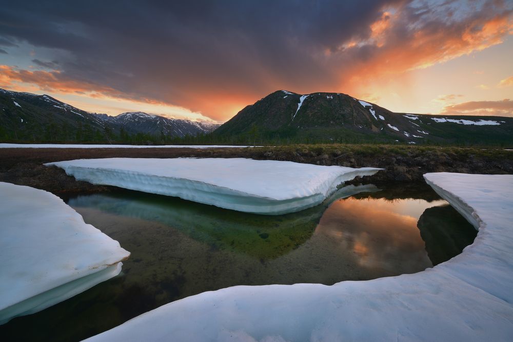 Лето пробивает дорогу...