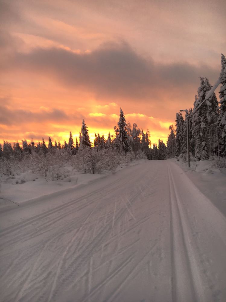 Photograph by Евгений Савулькин