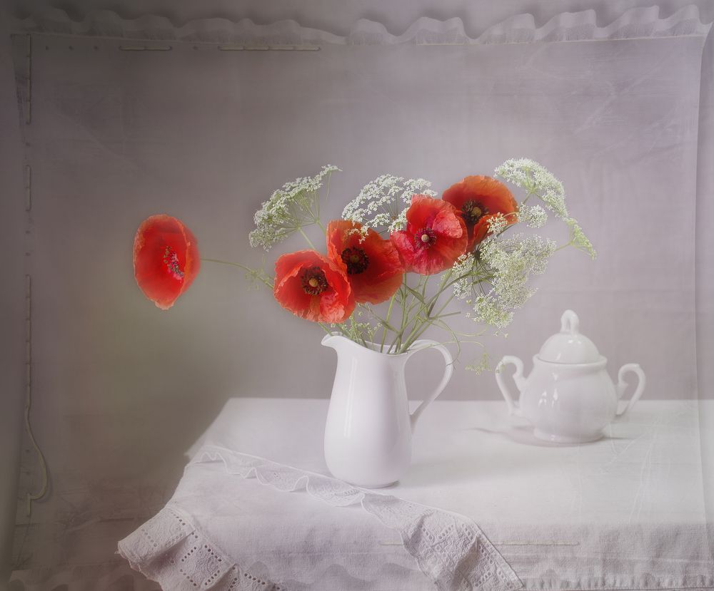 Нежные маки