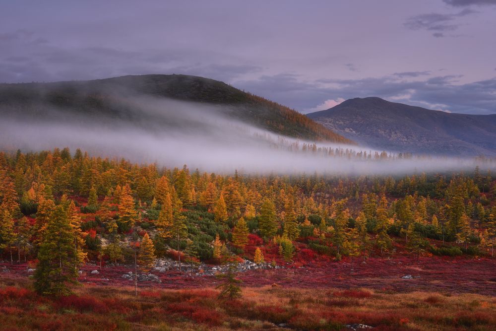 Укрыты горы одеялом...