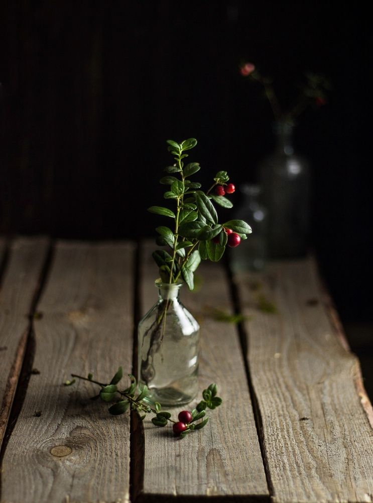 Лесная ягодка