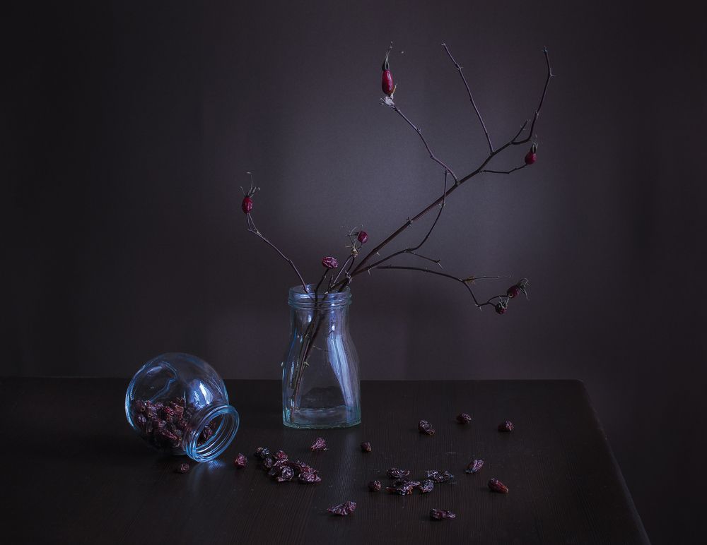 Загрустивший шиповник