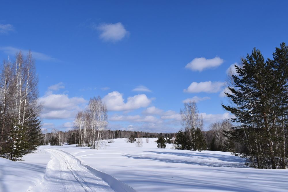 Снежный солнечный пейзаж