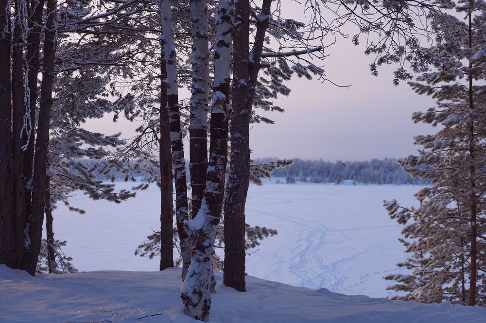 Декабрьский  день .