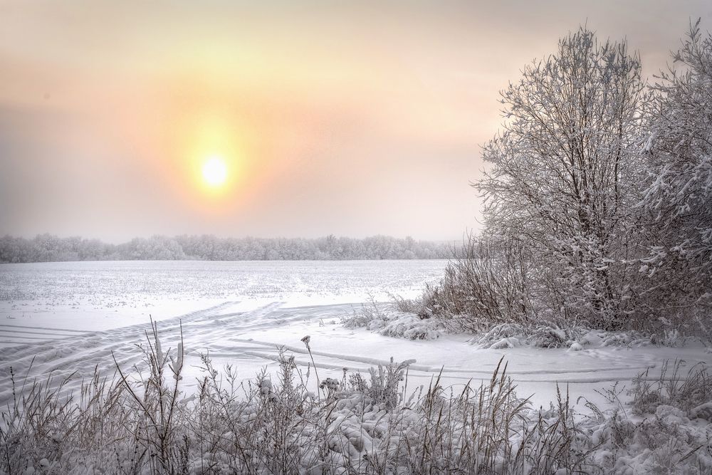 Photograph by Мила Дементьева