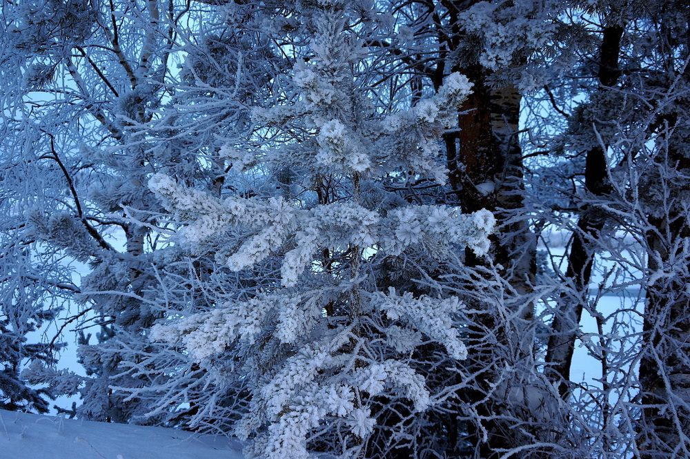 Припорошило , приморозило ...