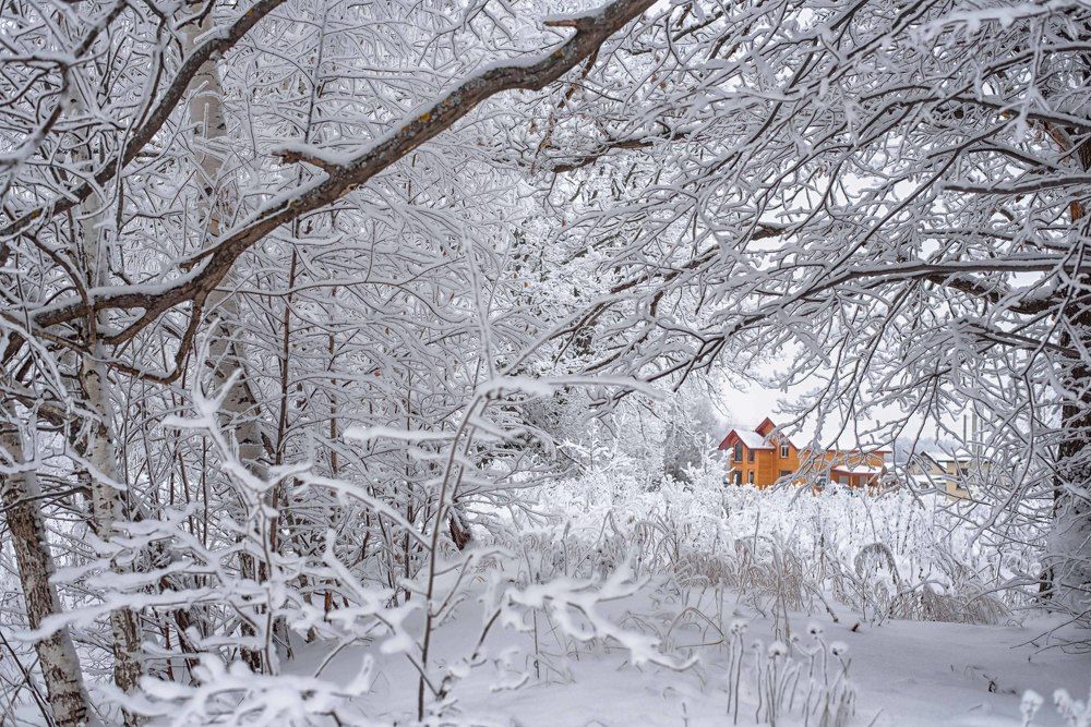 Photograph by Мила Дементьева