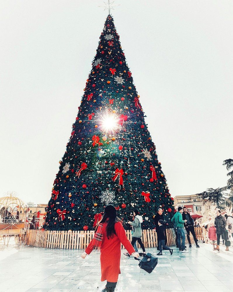 Model of the Christmas