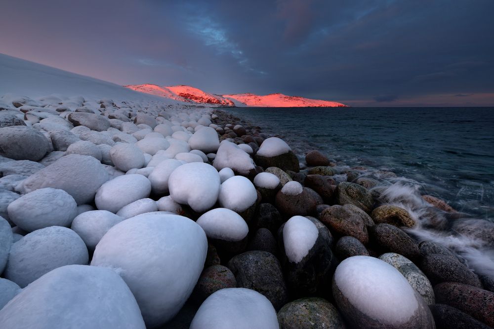 Клюква в сахаре