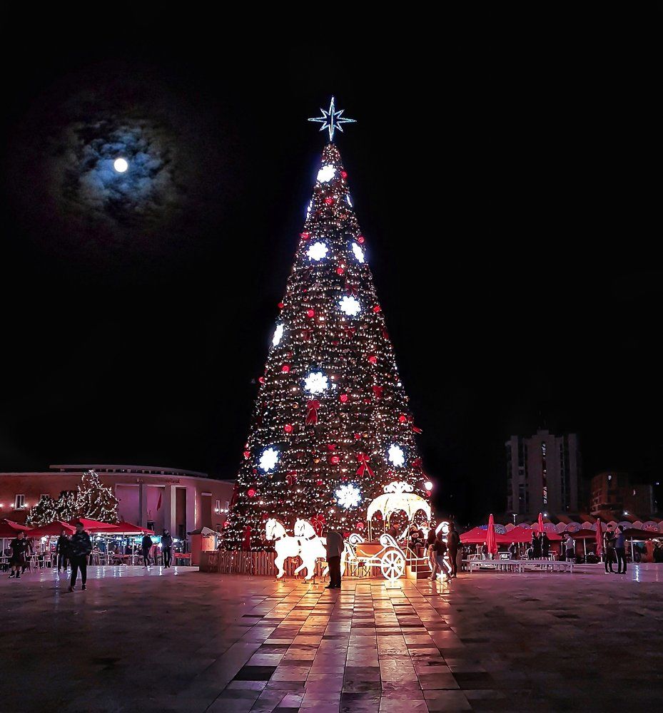 First night with the tree on the square