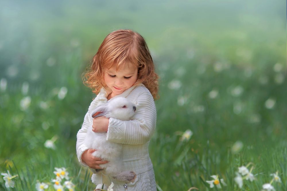 цветение нарцисов