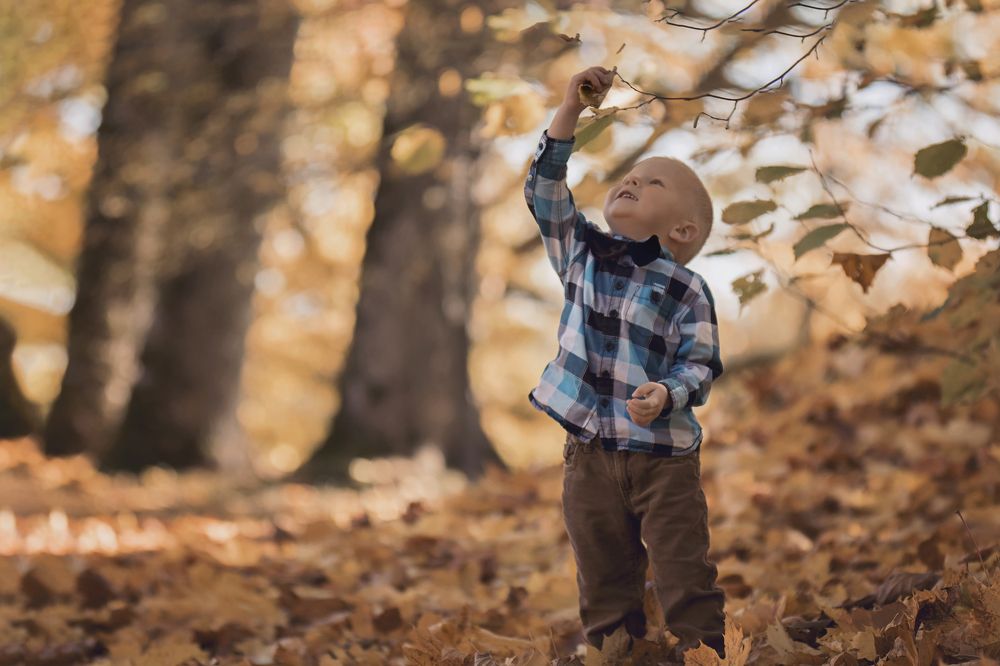 Let's play in the park!