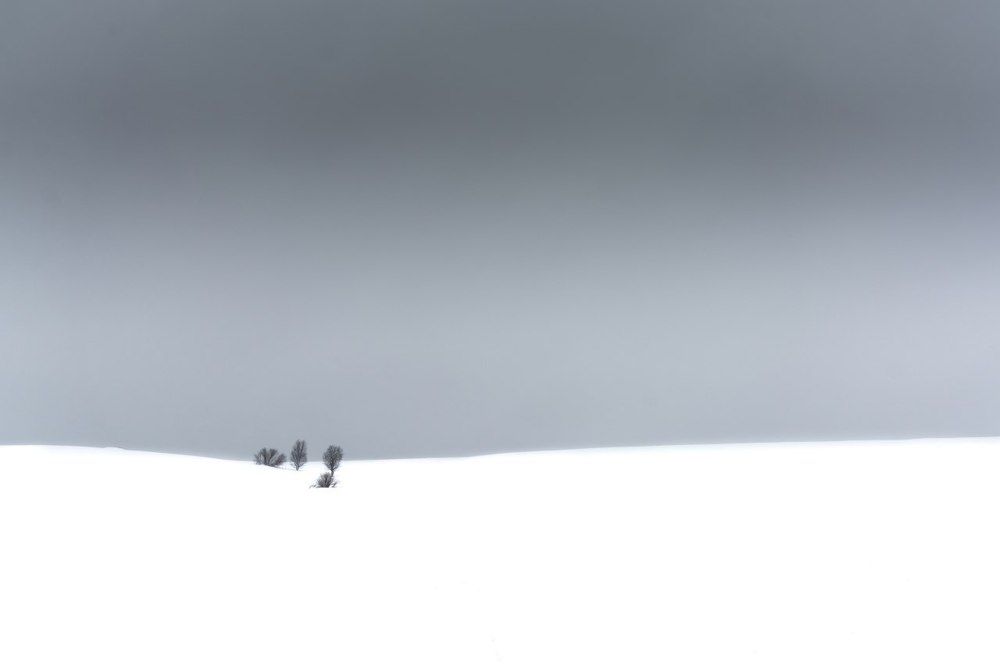 Спокойствие