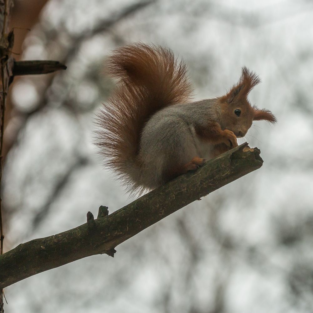 Photograph by Роман Дергунов