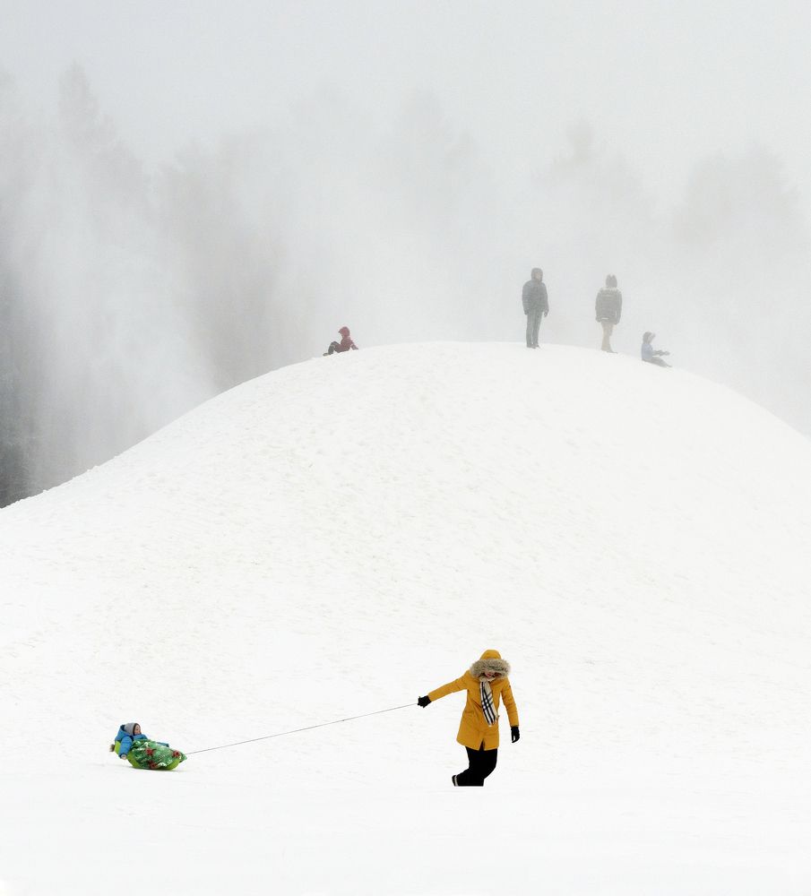 In a one-horse open sledge